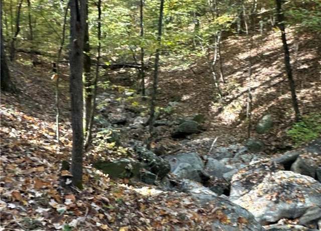 Property at Tract 3 Dennis Creek Rd, GA 00000