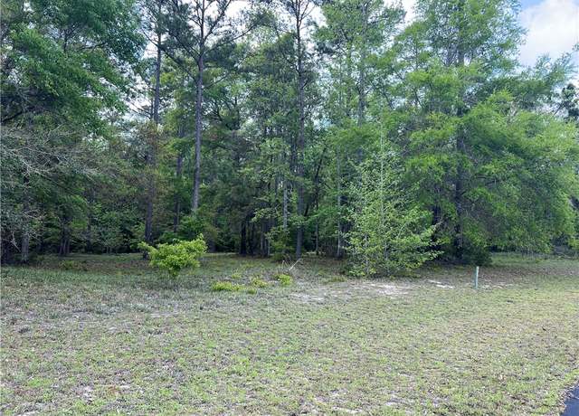 Property at 723 Village Green Dr, Townsend, GA 31331