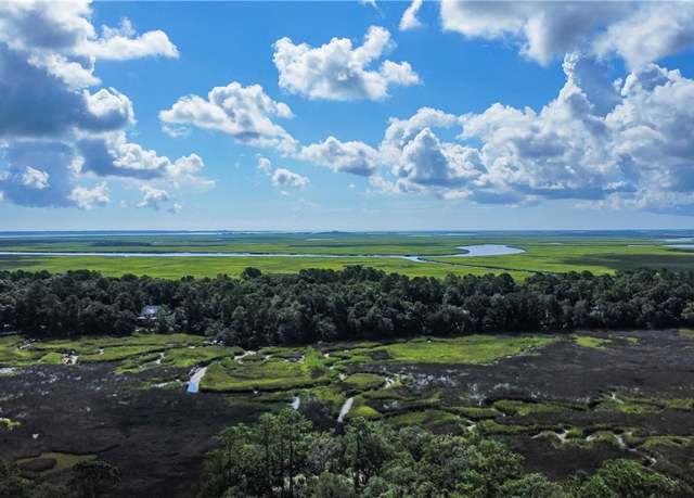 Property at Lot 53 St. Joseph's Pt, Darien, GA 31305