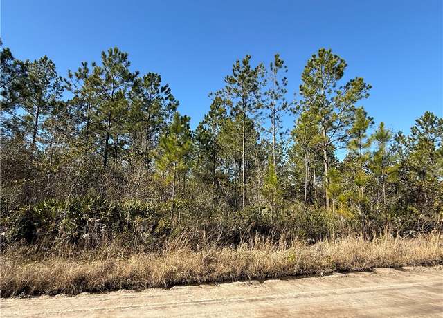 Property at 0 (Lot 4) Elmer Thrift Rd, Waycross, GA 31503