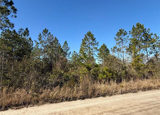 Property at 0 (Lot 5) Elmer Thrift Rd, Waycross, GA 31503