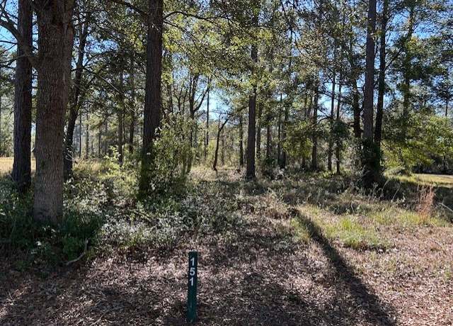 Property at Lot 151 Sapelo Park Dr. Dr NE, Shellman Bluff, GA 31331