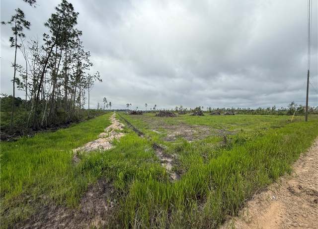 Property at (9.219 Ac) Rhine (alma, Ga) Rd, Alma, GA 31510