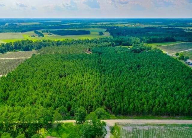 Property at 4060 County Farm Road Rd, Blackshear, GA 31516