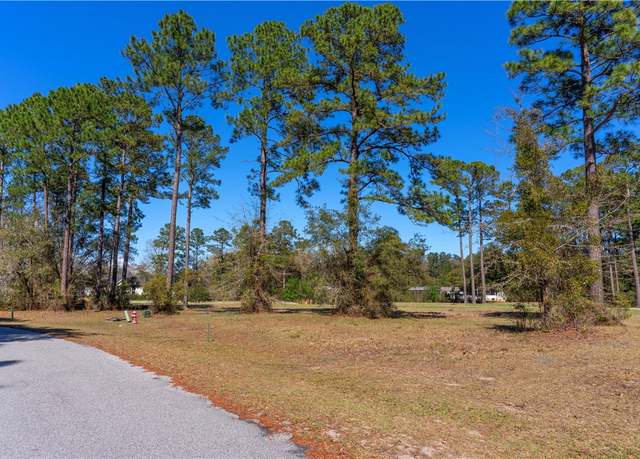 Property at xx Sapelo Park Dr NE, Townsend, GA 31331