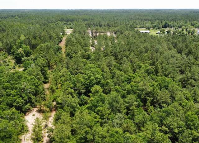 Property at 0 Crow Trl SE, Townsend, GA 31331