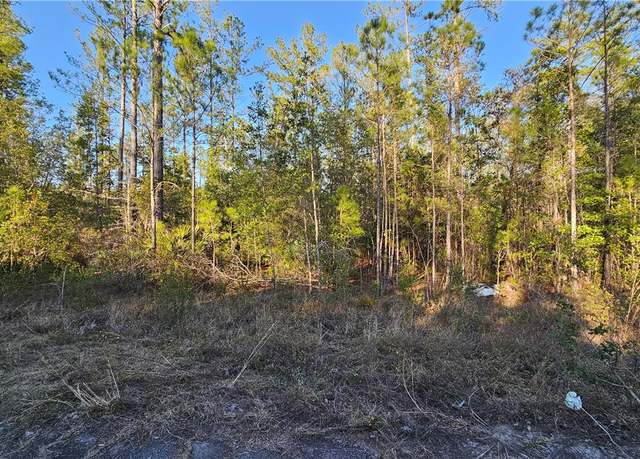 Property at 9 Satilla Plantation Dr, Waynesville, GA 31566