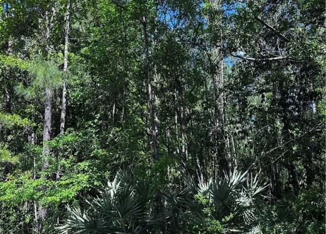 Property at 00 Secret Cv, Woodbine, GA 31569
