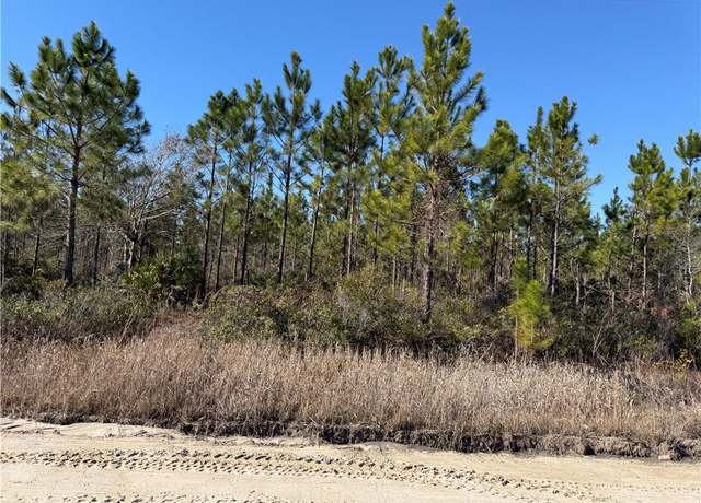 Property at 0 (Lot 11) Elmer Thrift Rd, Waycross, GA 31503