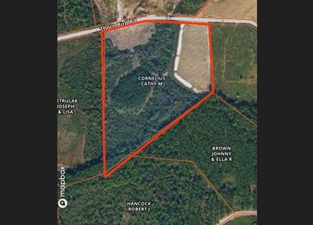 Property at 0 Thorn Bird Rd, GA 31552