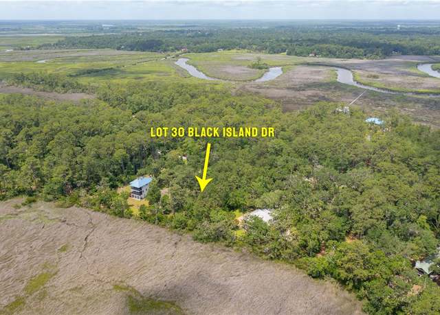 Property at LOT 30 Black Rd, Darien, GA 31305
