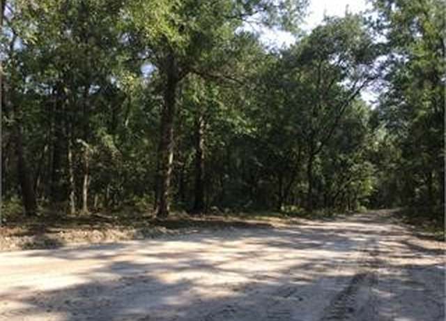 Property at 471.46 Acres Simons Bluff Rd, Woodbine, GA 31569