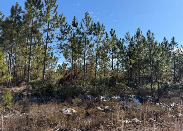 Property at 0 (Lot 13) Elmer Thrift Rd, Waycross, GA 31503
