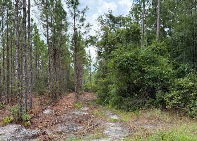 Property at 0 (Lot 1) Corbitt Rd, Manor, GA 31550