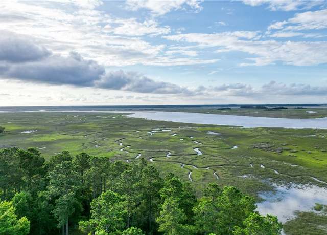 Property at LOT 25 Tranquility Baker Island Way, Townsend, GA 31331