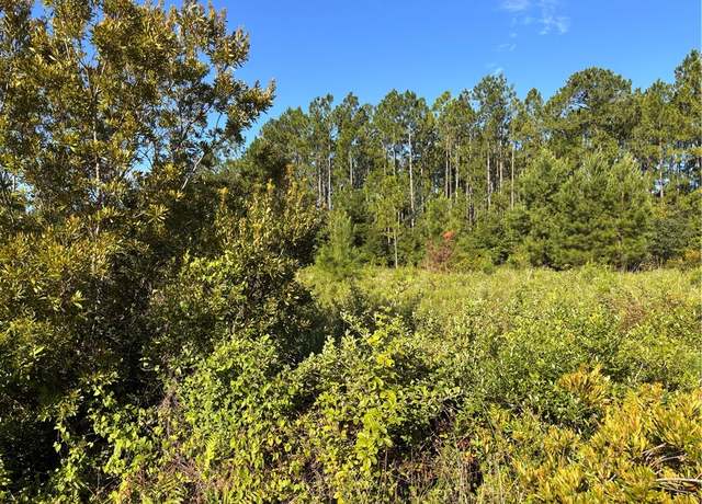 Property at 0 Horseshoe Cv, Waverly, GA 31565
