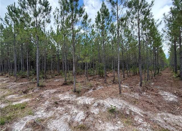 Property at 0 (Lot 2) Corbitt Rd, Manor, GA 31550