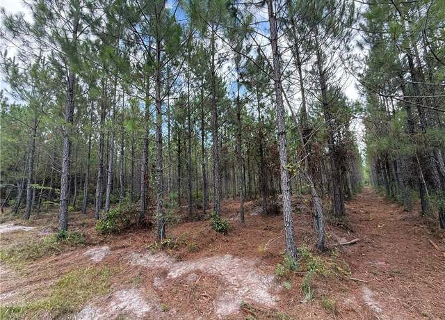 Property at 0 (Lot 3) Corbitt Rd, Manor, GA 31550