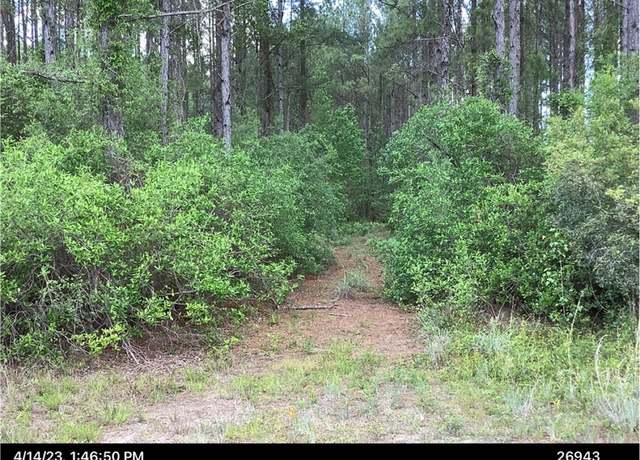 Property at 0 Inchachee Rd, White Oak, GA 31568