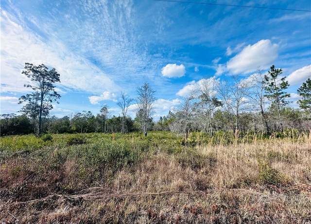 Property at 0 Picketts  Mill Trl, Waynesville, GA 31566