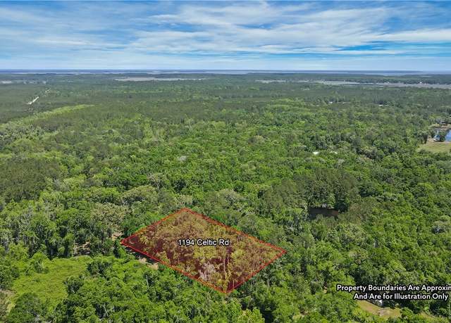 Property at 1194 Celtic Rd, Townsend, GA 31331