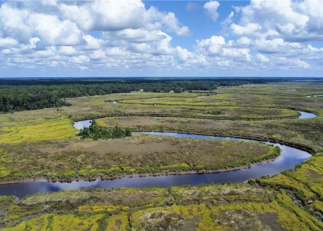 Property at LOT 5 Black Is, Darien, GA 31305