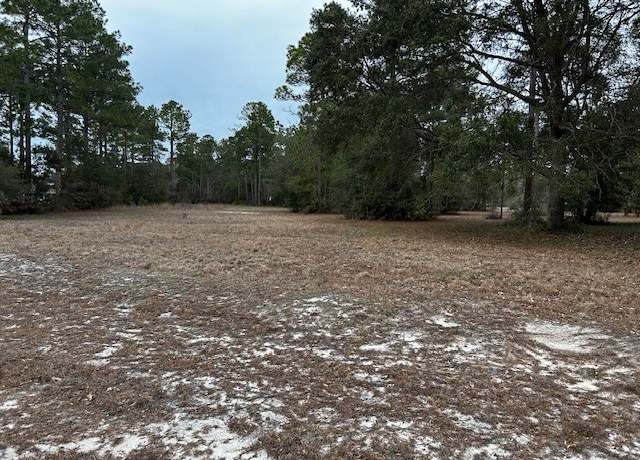Property at Lot 154 Mulligan Dr NE, Townsend, GA 31331