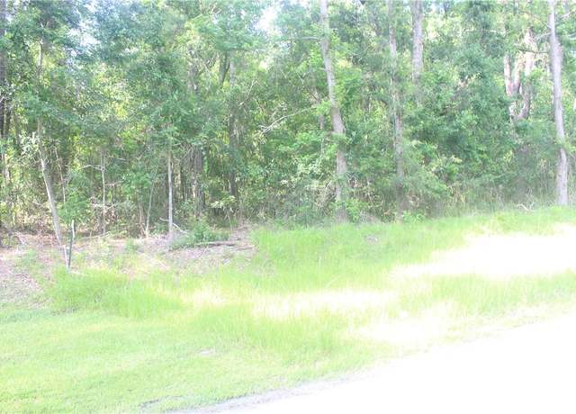 Property at 2976 Ardoch Rd, Townsend, GA 31331
