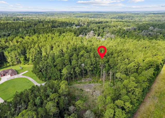 Property at 0 Serenity Farms Rd, Woodbine, GA 31569