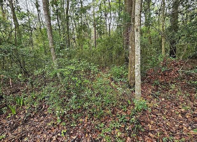 Property at 608 608 River Place Drive Riverplace Rd, Waverly, GA 31565