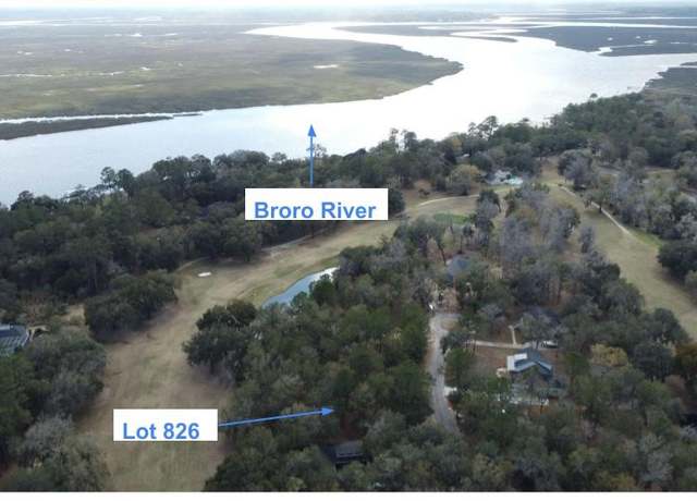 Property at 826 Bridge Island Dr, Townsend, GA 31331