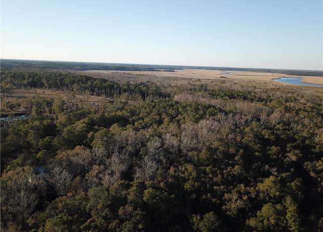 Property at 0 Hwy 99, Townsend, GA 31331