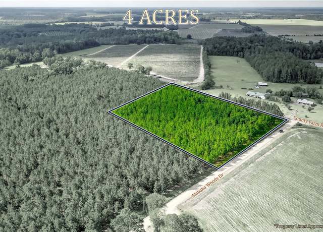 Property at 000 County Farm Rd, Blackshear, GA 31516