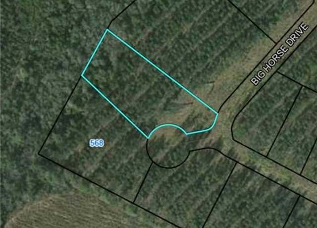 Property at 0 Big Horse Dr, Waynesville, GA 31566