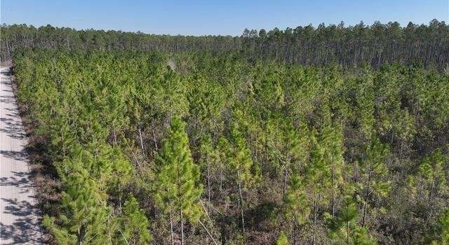 Photo of 0 Tract 9 Hwy 341 Rd, Odum, GA 31555