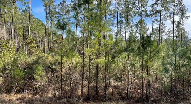 Photo of Lot 97 Draytons Way, GA 31568
