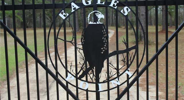 Photo of 0 Eagle Watch Rd, Baxley, GA 31513