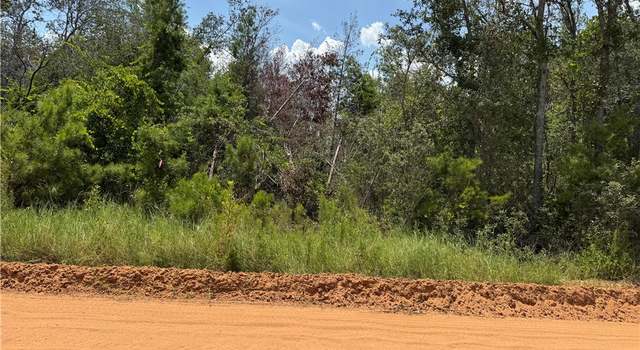 Photo of (40) Chatterton Church Rd, GA 31554