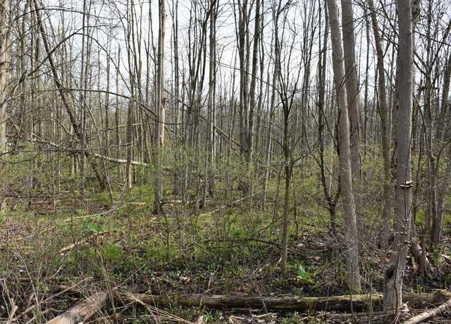 Property at 3214-024 Blooming Valley Rd, Meadville, PA 16335