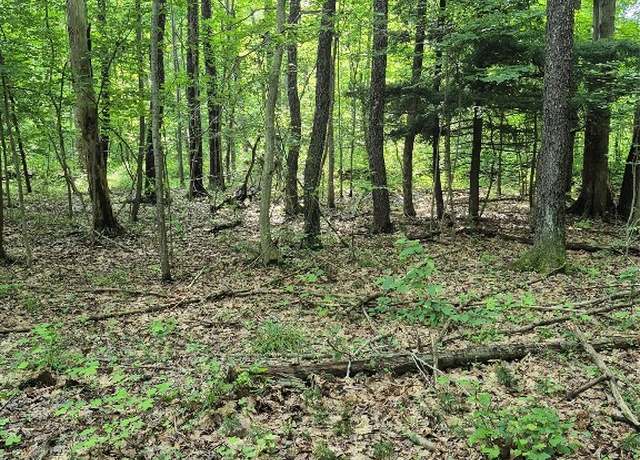 Property at Lot 3 Biscoff Rd, Albion, PA 16401