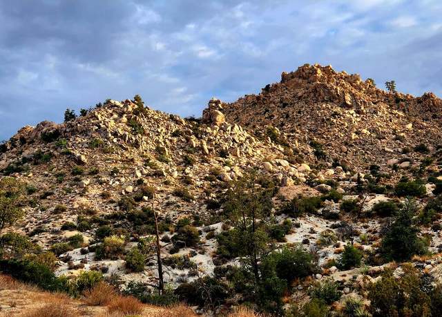 Property at 10 W Omega Trl, Yucca Valley, CA 92284