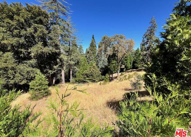 Property at 284 Hidden Forest Rd, Lake Arrowhead, CA 92352