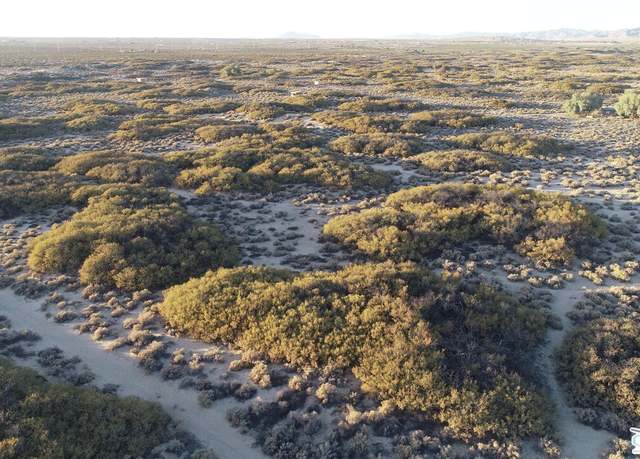 Property at 2620 Wagon Wheel Rd, Twenty-nine Palms, CA 92277