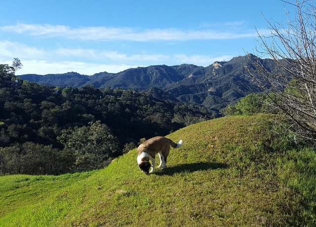 Property at 22755 Chamera Ln, Topanga, CA 90290