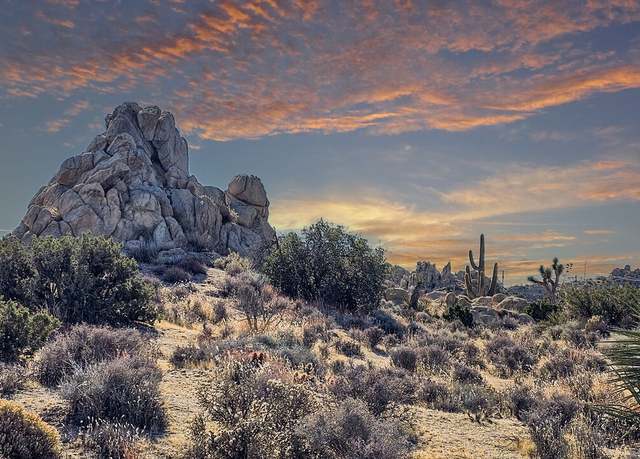 Property at 56431 Gold Nugget Rd, Yucca Valley, CA 92284