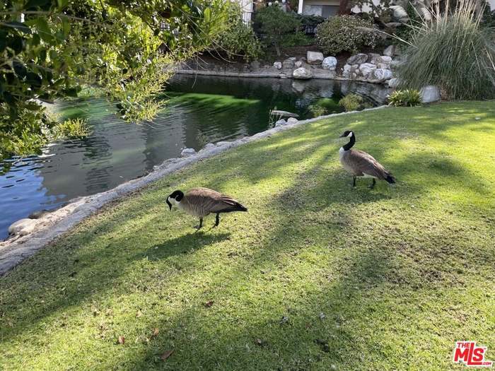 Canada goose yahoo finance jefferson top
