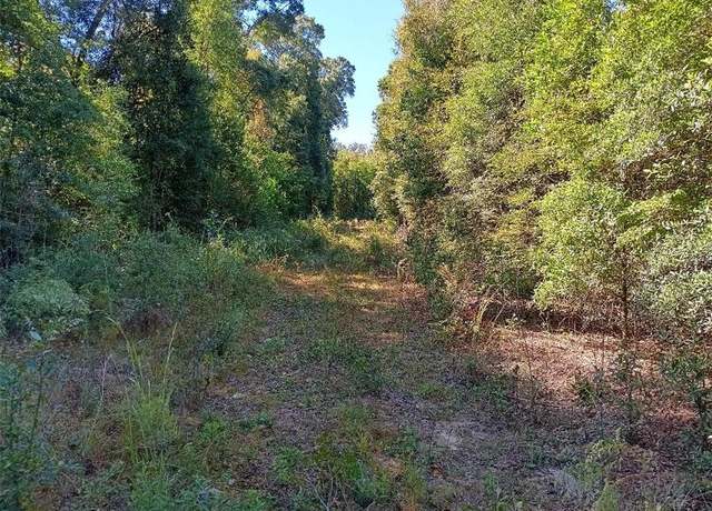 Property at 0 Warren Creek Rd, Grand Bay, AL 36541