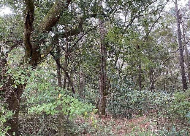 Property at 0 Padgett Switch Rd, Bayou La Batre, AL 36509