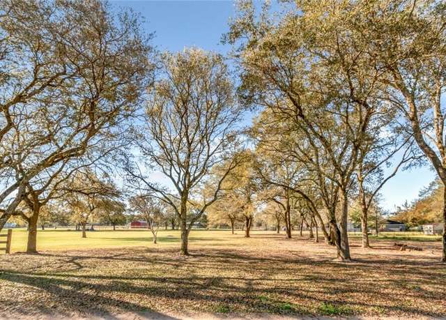 Property at 12081 Strickland Ln S, Grand Bay, AL 36541