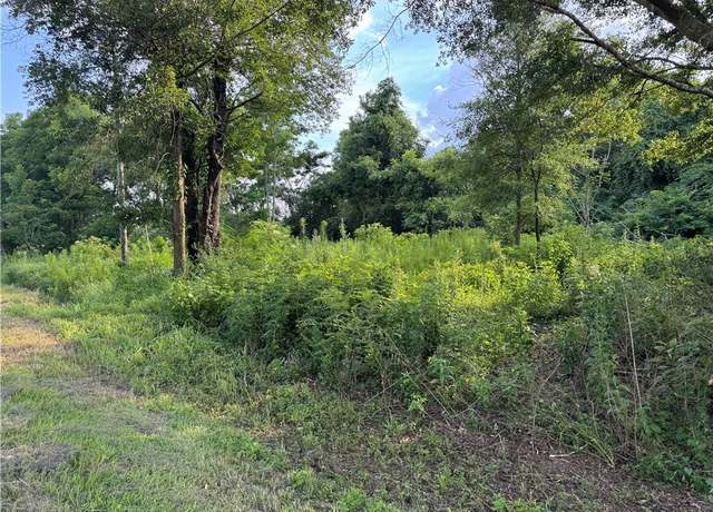 Property at 0 Gaston Loop Rd W, Grand Bay, AL 36541